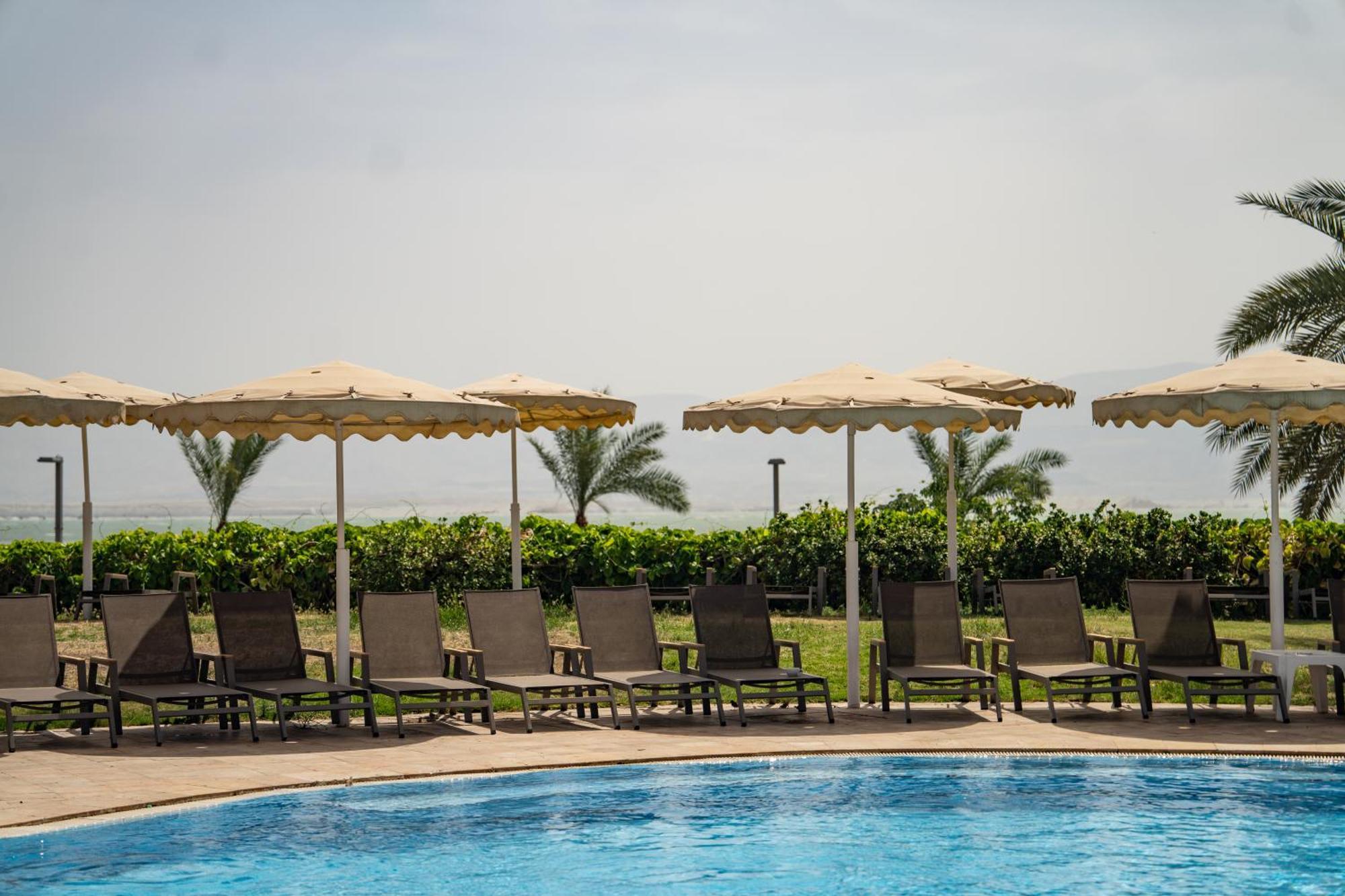 大卫死海度假村&Spa酒店 恩波其克 外观 照片 The pool at the Dead Sea